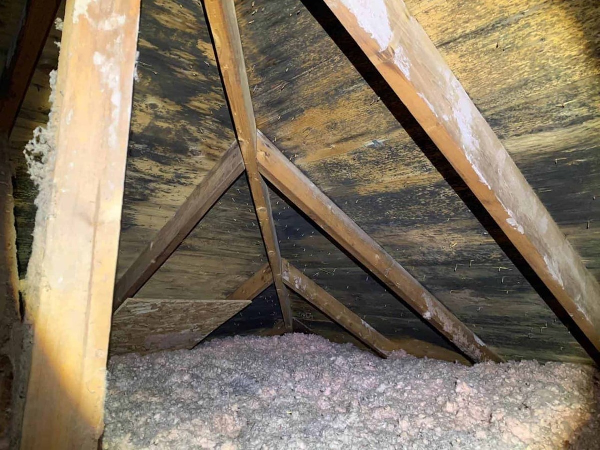Attic with visible mould before remediation